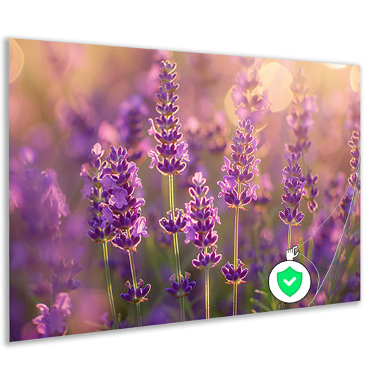 Betoverende zonsondergang over een lavendelveld poster