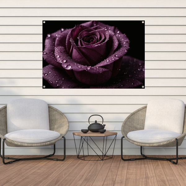 Paarse roos close-up met waterdruppels tuinposter