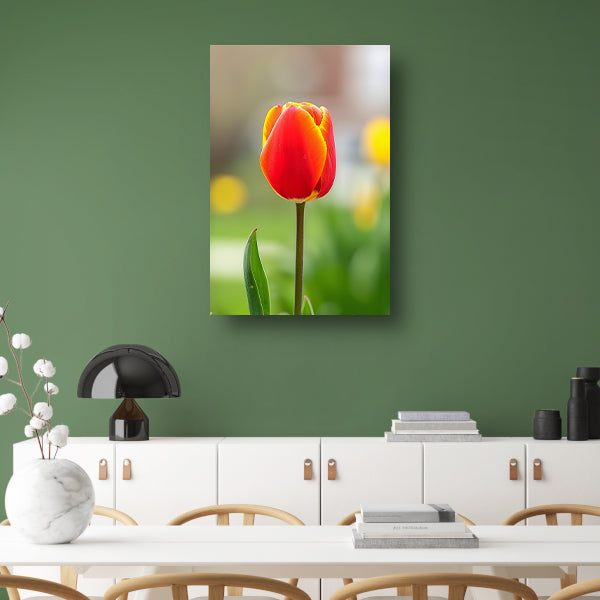Kleurrijke tulp in volle bloei schilderij poster