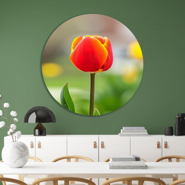 Kleurrijke tulp in volle bloei schilderij aluminium muurcirkel