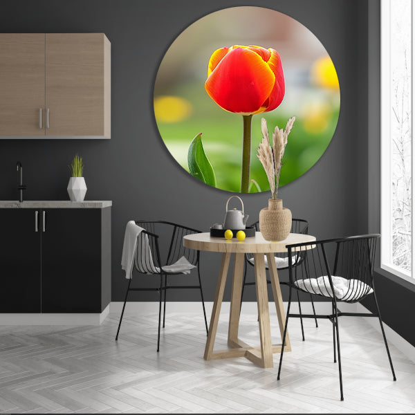 Kleurrijke tulp in volle bloei schilderij aluminium muurcirkel