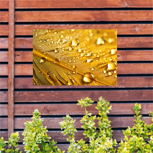 Uitgebreide titel met minimaal vier woorden tuinposter