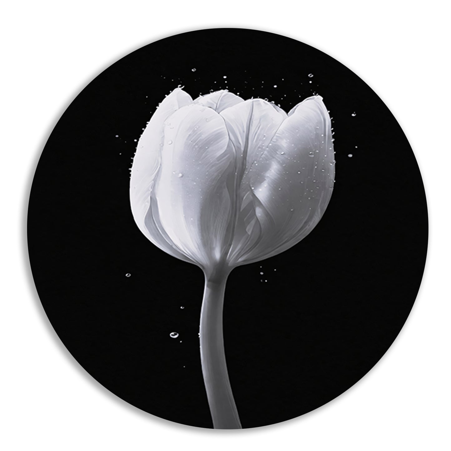 Minimalistische witte tulp met waterdruppels forex muurcirkel