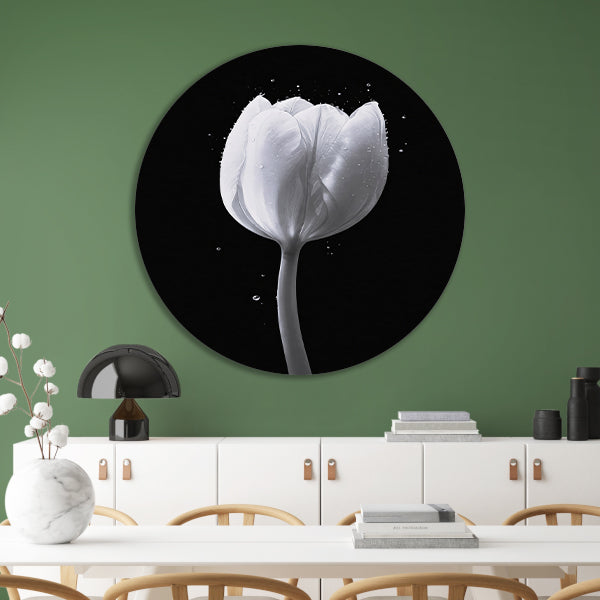 Minimalistische witte tulp met waterdruppels forex muurcirkel