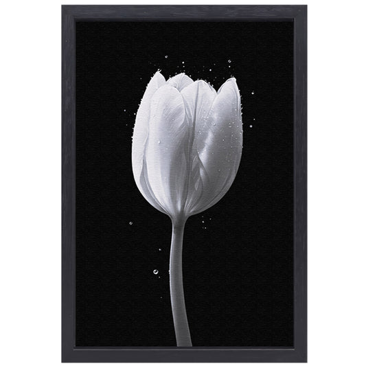 Minimalistische witte tulp met waterdruppels canvas met baklijst