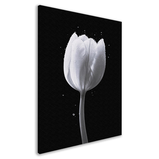 Minimalistische witte tulp met waterdruppels canvas