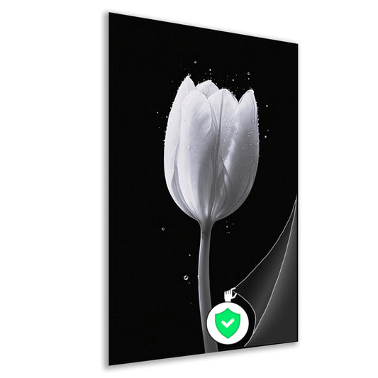 Minimalistische witte tulp met waterdruppels poster