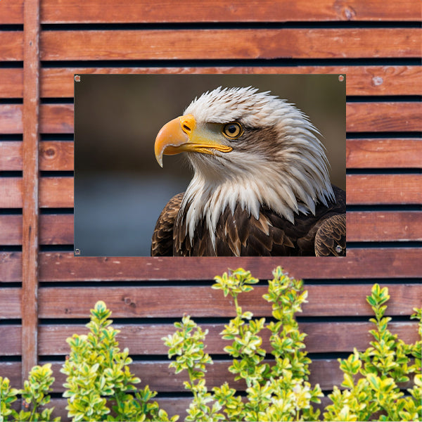 Realistisch portret van een majestueuze adelaar tuinposter