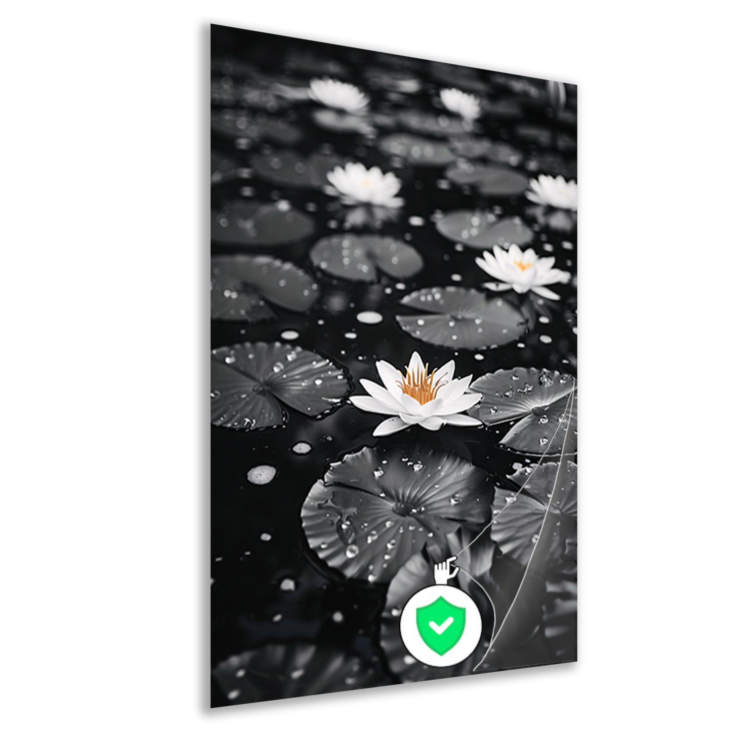 Zwart-wit foto van waterlelies op water poster