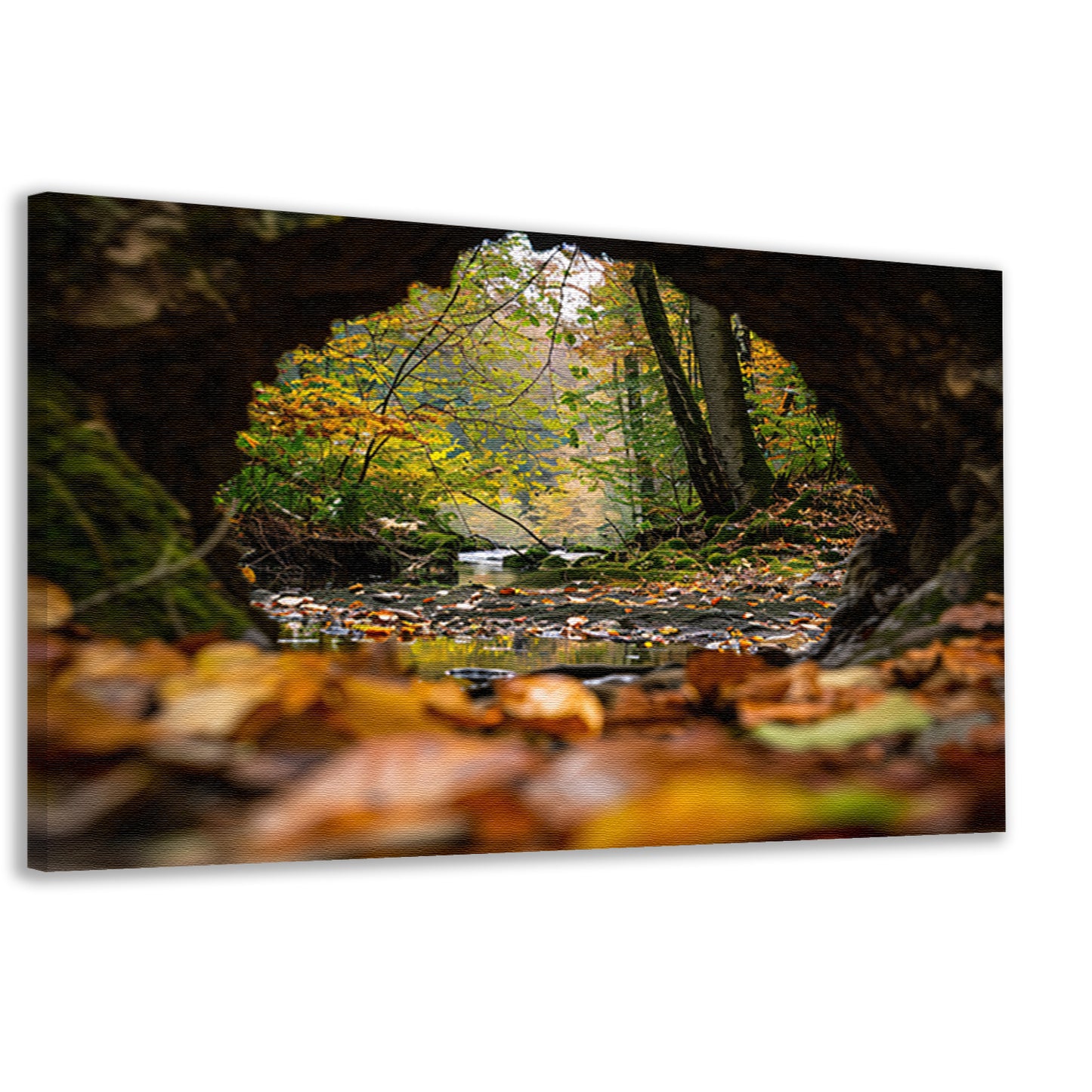 Herfstlandschap met rivier en bomen canvas