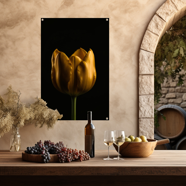 Elegante Gouden Tulp tegen Diepzwarte Achtergrond tuinposter