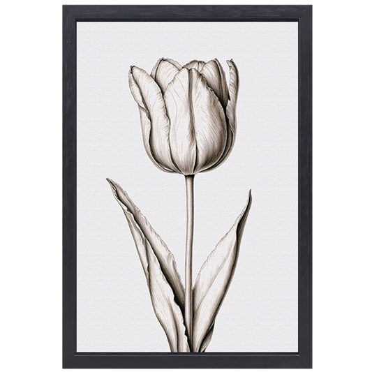 Elegante tulp in zwart-wit lijnen canvas met baklijst