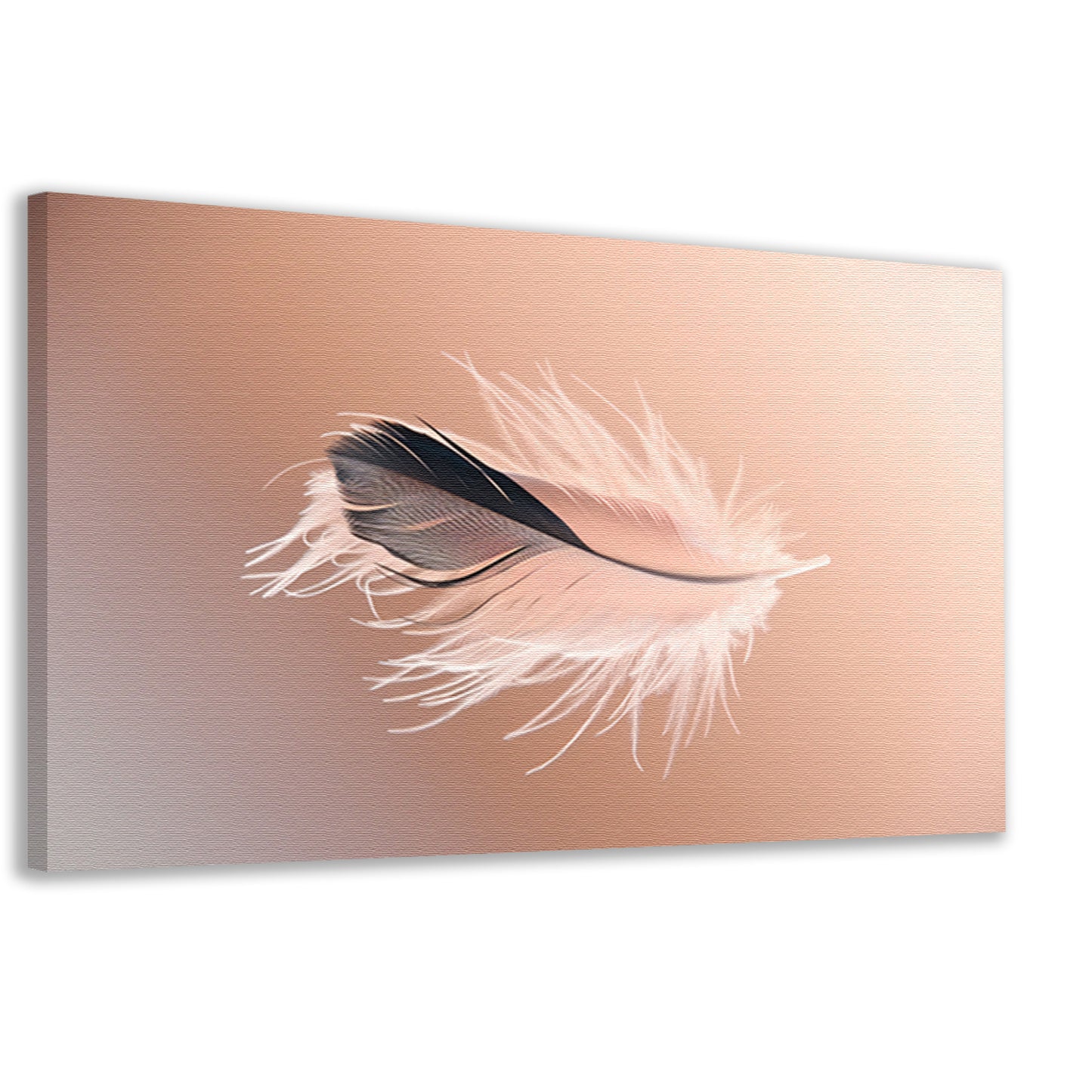 Minimalistische veer in zachte tonen canvas