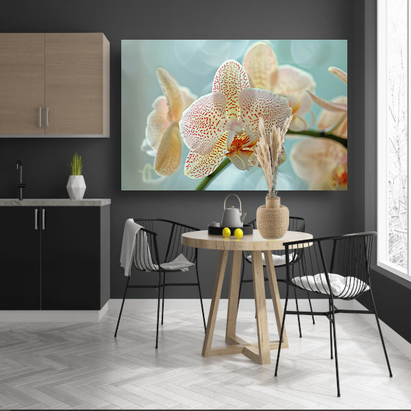 Close-up van een bloeiende orchidee acrylglas