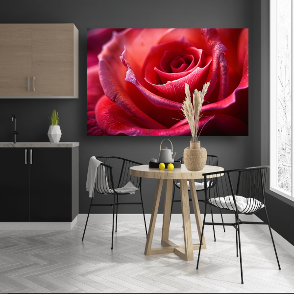 Elegante rode roos in volle bloei close-up poster