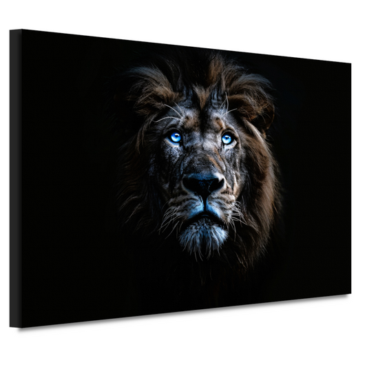 Indrukwekkende leeuw met hypnotiserende blauwe ogen canvas