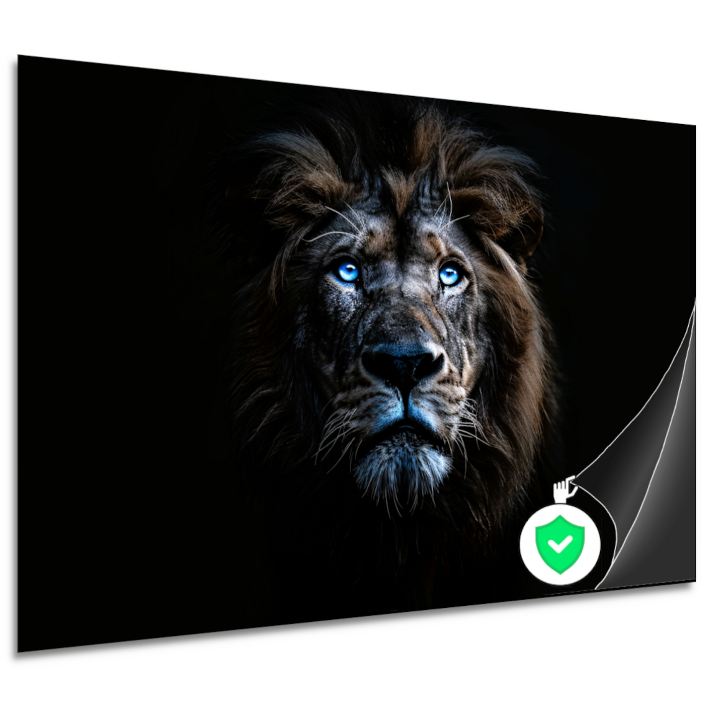 Indrukwekkende leeuw met hypnotiserende blauwe ogen poster