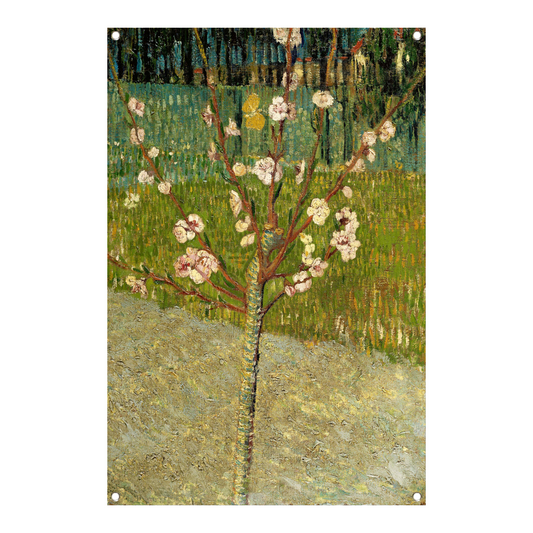Amandelboom in bloei - Vincent van Gogh tuinposter