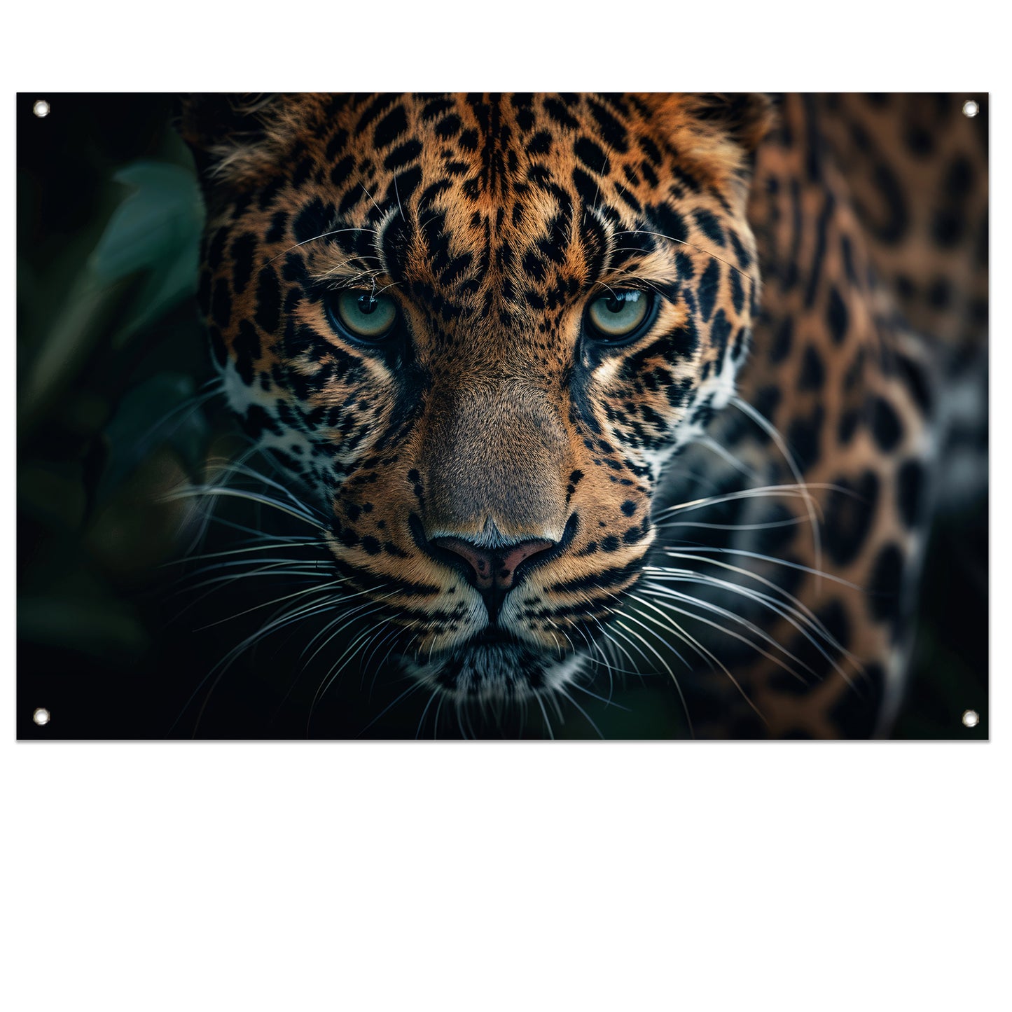 Majestueuze jaguar met intense blik tuinposter