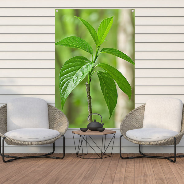 Jonge groene plant in de zon tuinposter