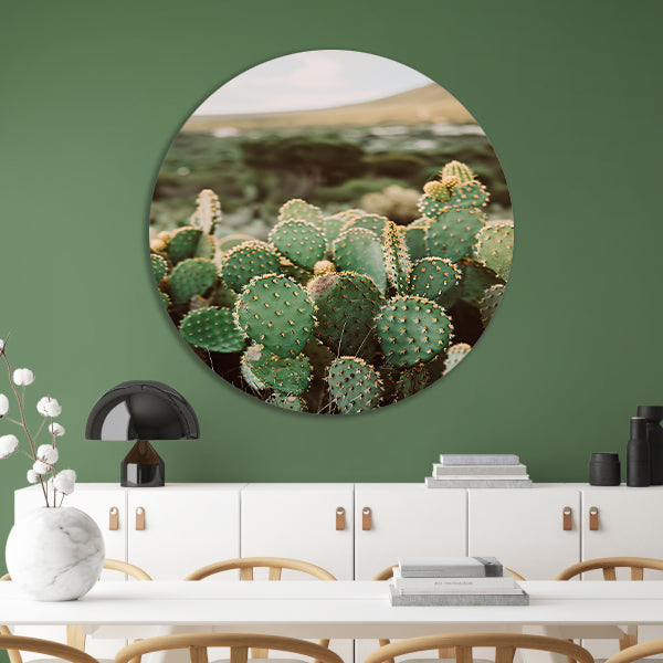 Levendige groene cactussen in weids landschap aluminium muurcirkel