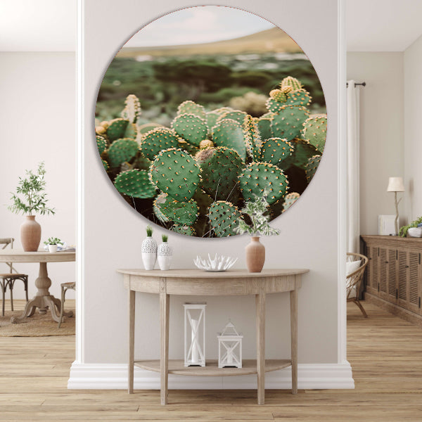 Levendige groene cactussen in weids landschap aluminium muurcirkel