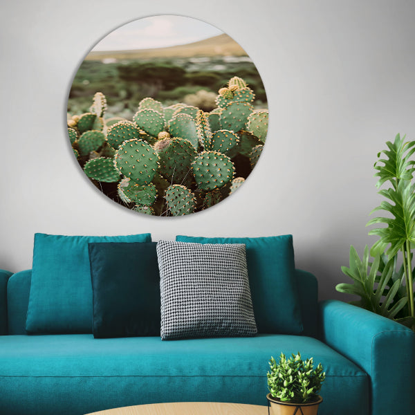 Levendige groene cactussen in weids landschap aluminium muurcirkel