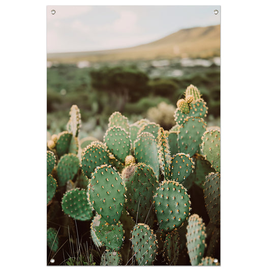 Levendige groene cactussen in weids landschap tuinposter