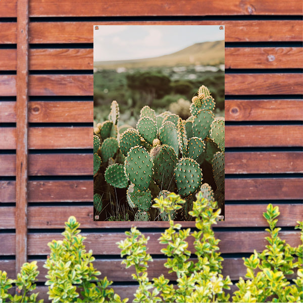 Levendige groene cactussen in weids landschap tuinposter