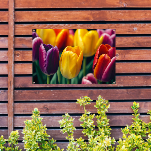 Vernieuwende Lente met Kleurrijke Tulpen tuinposter