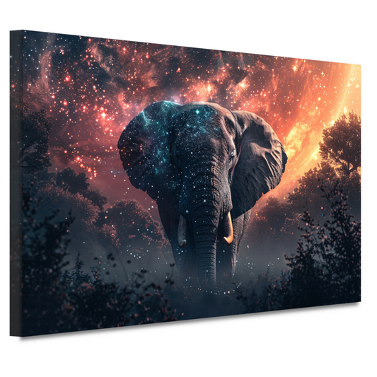 Olifant onder sterrenhemel canvas