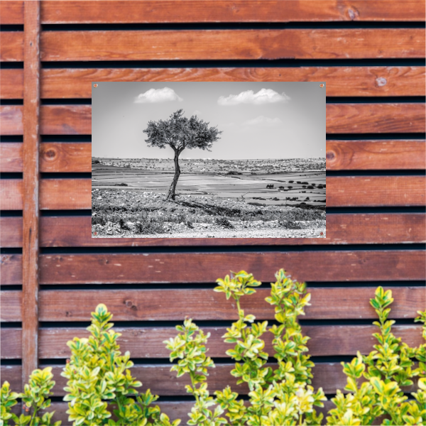 Eenzame boom op het platteland tuinposter