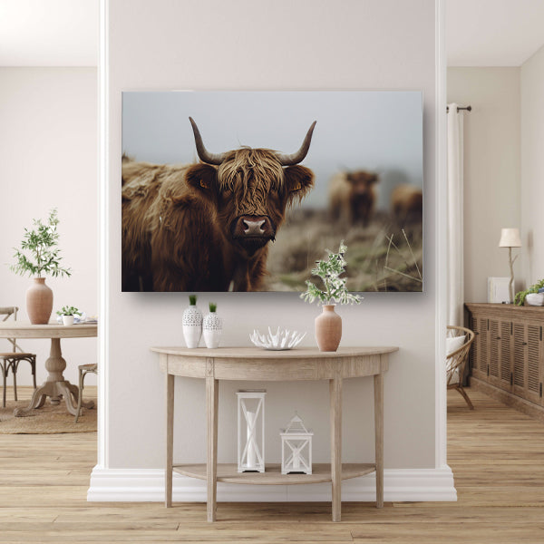 Schotse Hooglander in mistig landschap canvas