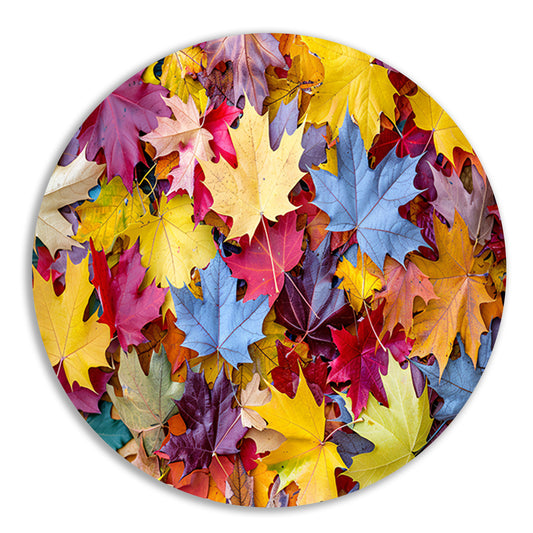 Kleurrijk herfstbladeren aluminium muurcirkel