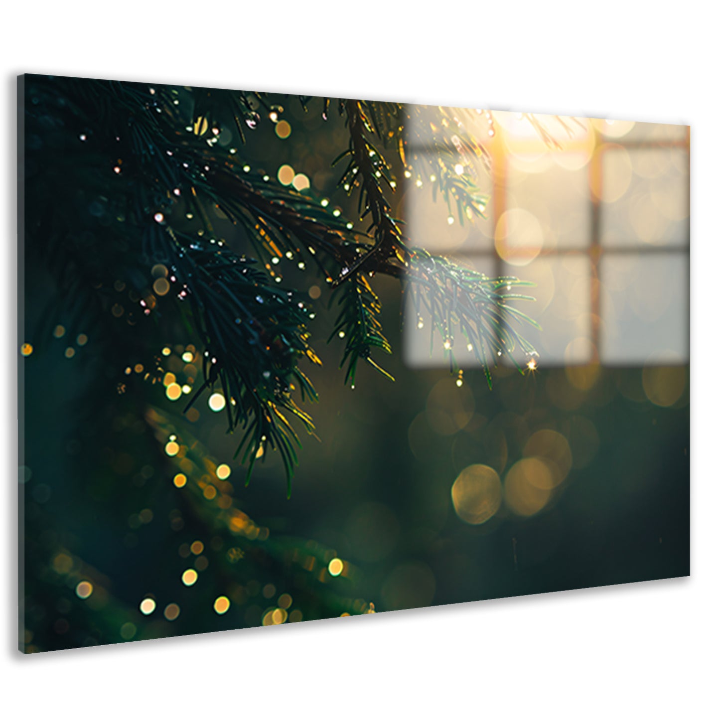 Dauw op dennentak in ochtendzon acrylglas