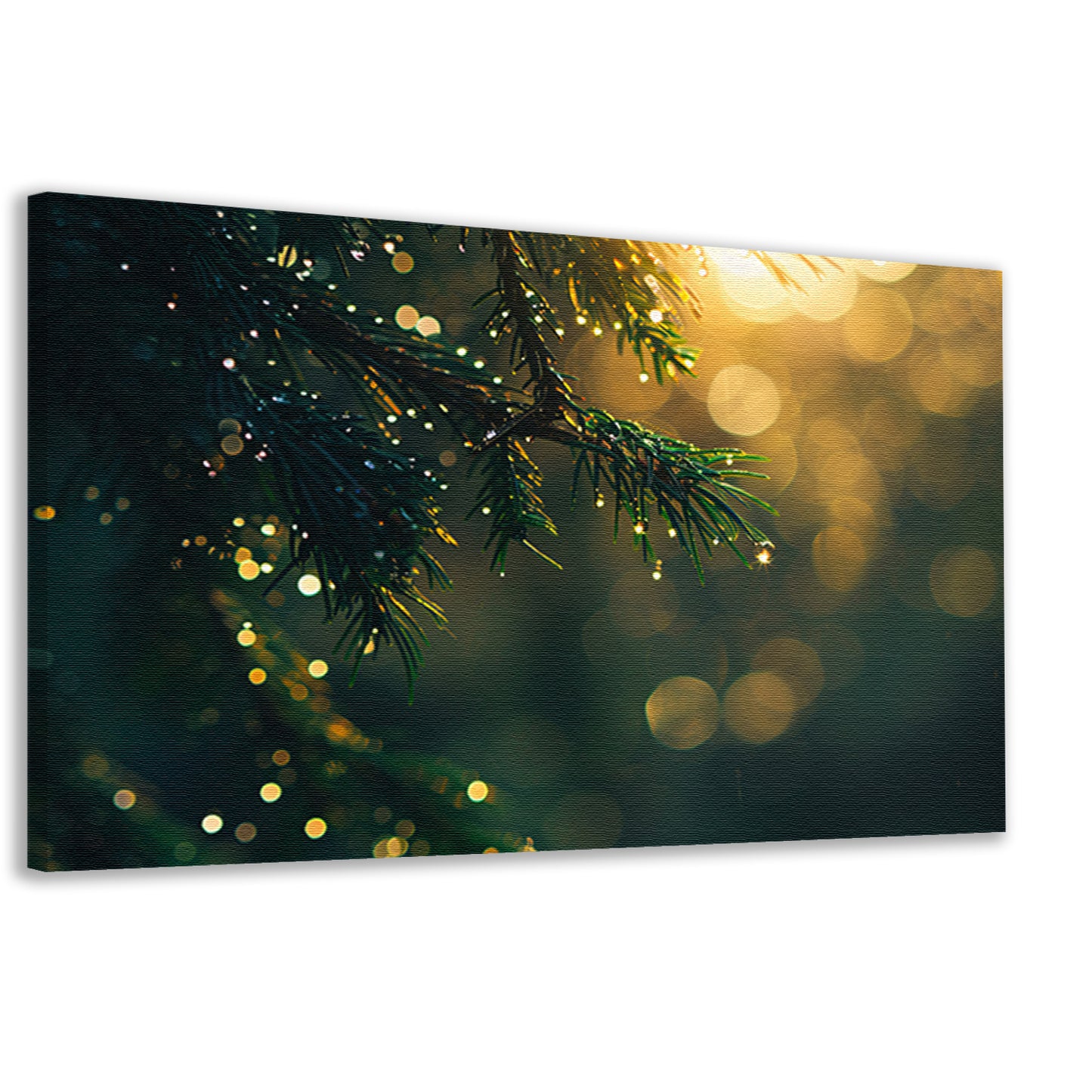 Dauw op dennentak in ochtendzon canvas