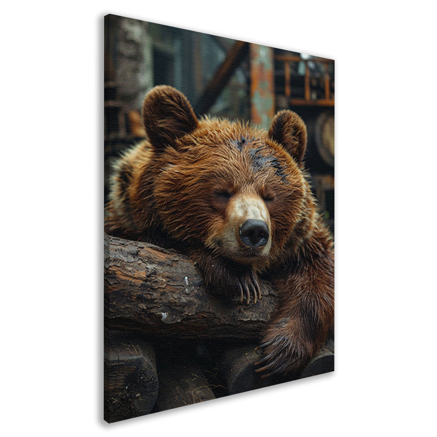 Slapende Bruine Beer op Boomstammen canvas