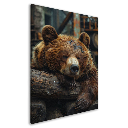 Slapende Bruine Beer op Boomstammen canvas