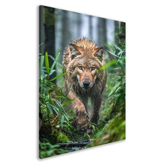 Wolf in het bos canvas