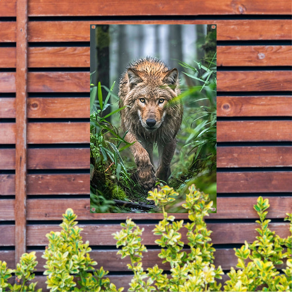 Wolf in het bos tuinposter