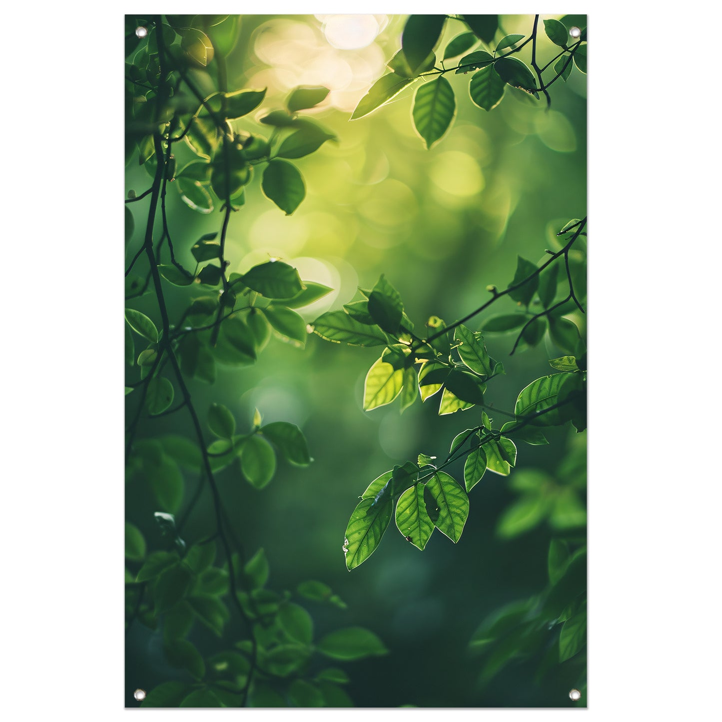 Zonnestralen door Groen Bladerdak tuinposter