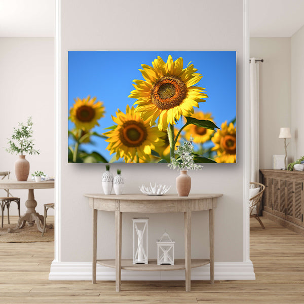 Gouden zonnebloemen onder een helderblauwe hemel canvas