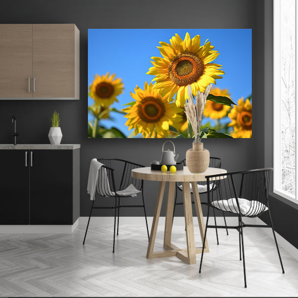 Gouden zonnebloemen onder een helderblauwe hemel canvas