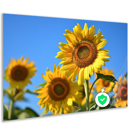 Gouden zonnebloemen onder een helderblauwe hemel poster