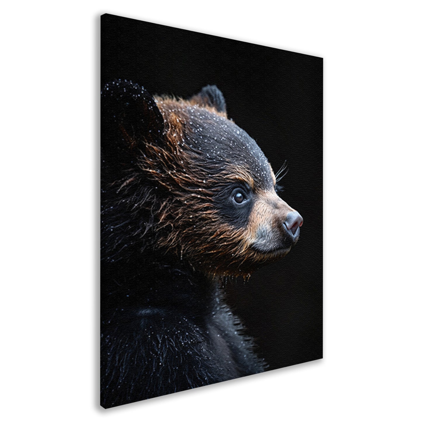 Portret van een beer in de regen canvas