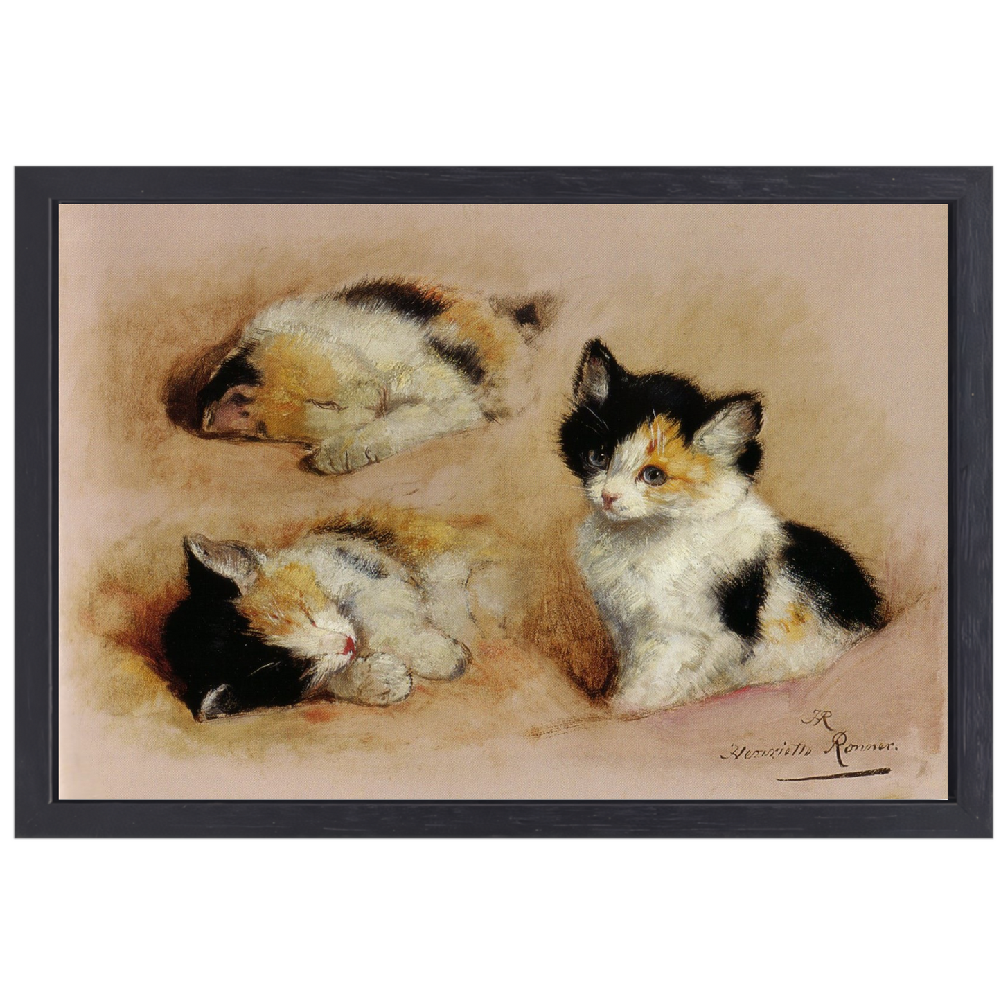 Studies van ontwakend katje - Henriëtte Ronner canvas met baklijst
