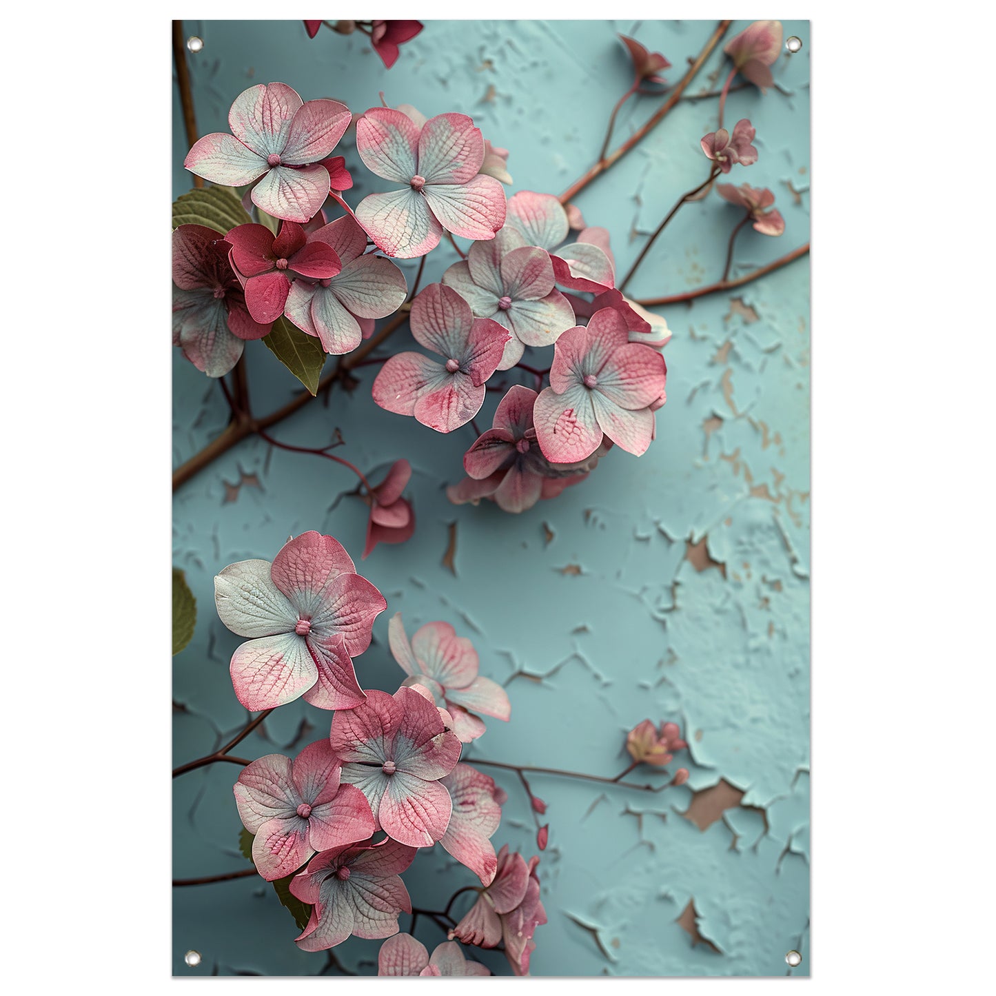 Roze bloemen tegen verweerde blauwe muur tuinposter