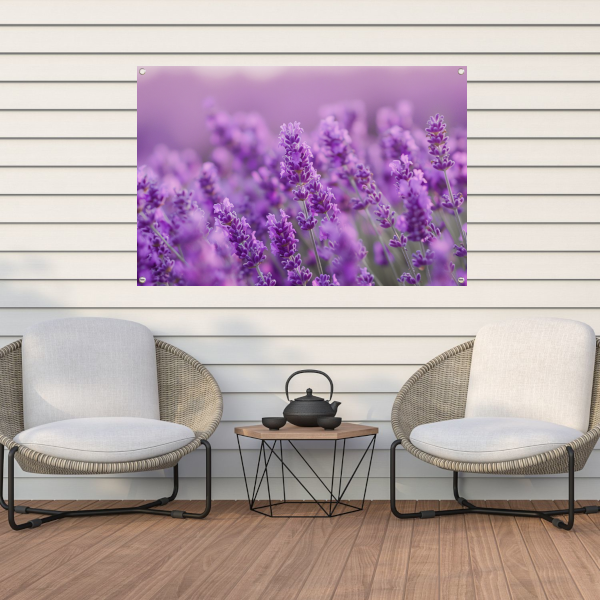 Lavendelbloesem in volle bloei met zachte kleurnuances tuinposter