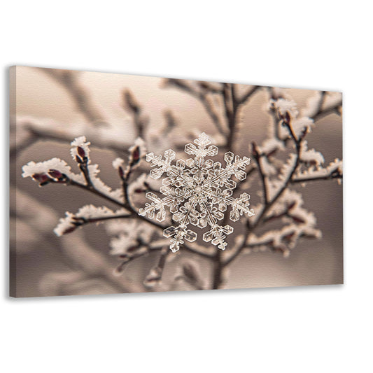 Macro-opname van een sneeuwvlok op takken canvas