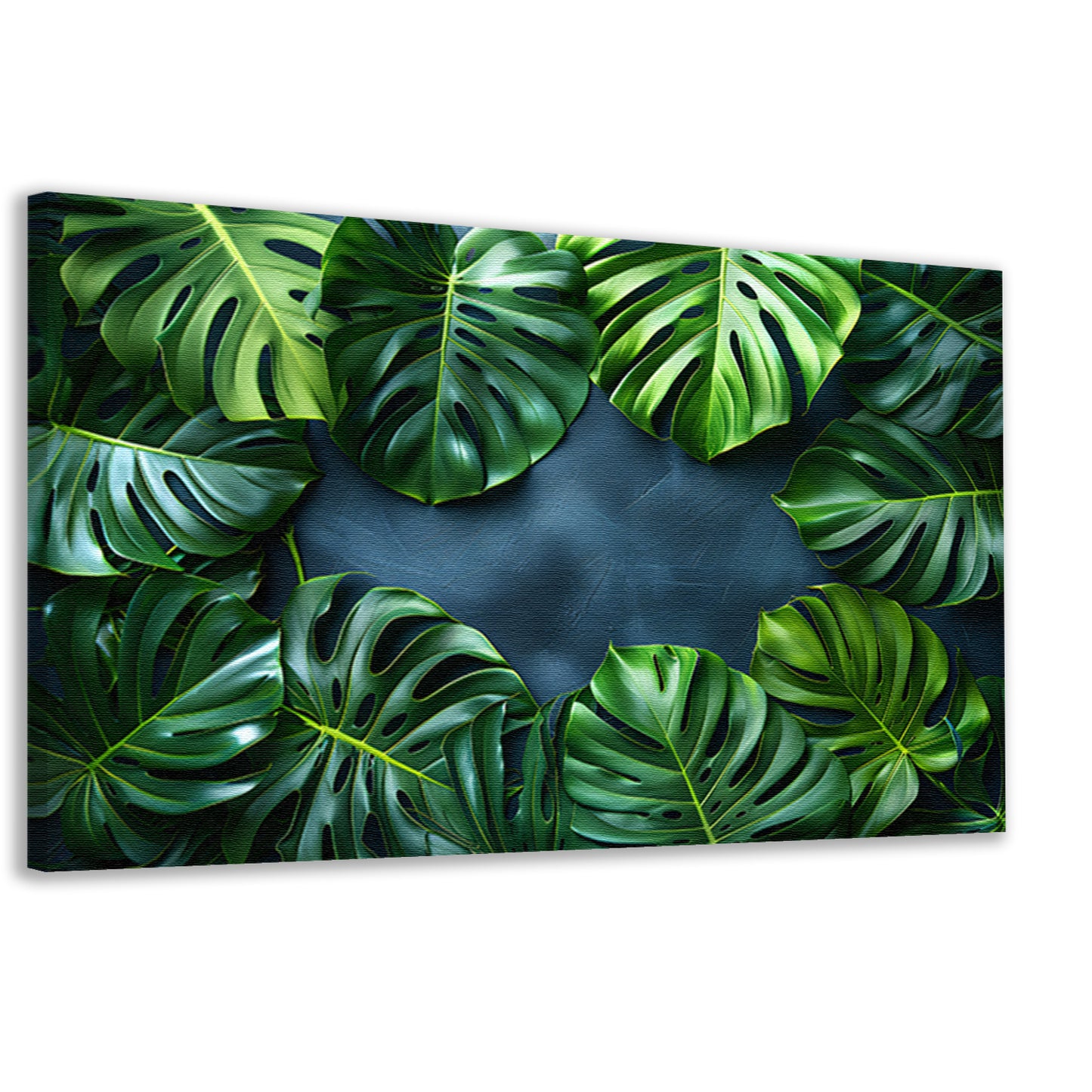 Monstera Bladeren op Blauwe Achtergrond canvas